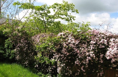 Chipping Norton Cabaña | House on the Green