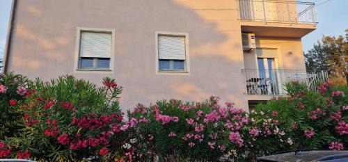 Marina di Pisa Apartamento | House Orilia in the green and by the sea