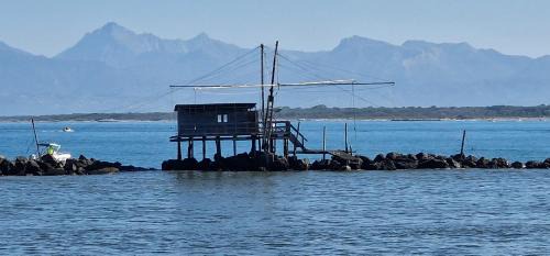 Marina di Pisa Apartamento | House Orilia in the green and by the sea