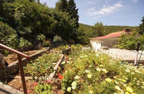 Cove Rogacic Casa | House Paulo1