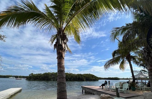 St. Petersburg - Clearwater Casa | House ~ Private pool! Pet friendly - Large backyard ~ 5 min from Gandy beach!