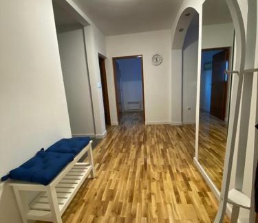 Zemun Casa | House Reko