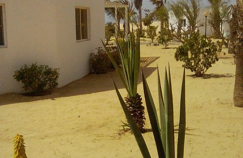 Rabil Casa | Casa vista al mar # 2 Praia de Chaves