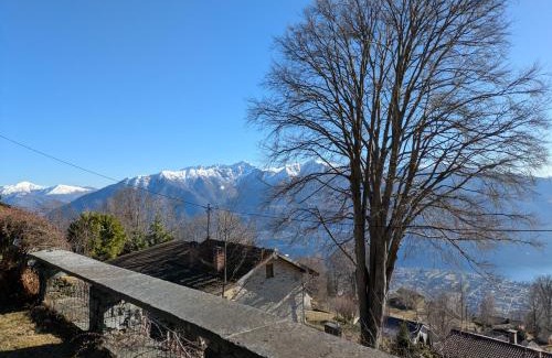 Locarno Casa | House under the beeches- Casa sotto i Faggi
