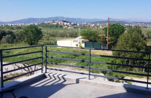Pangaio Casa | House Viki
