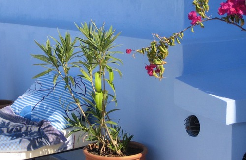 Medina Hotel | Casa / villa / chalet - Asilah