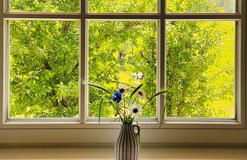 Klein Bollhagen Apartamento | House Windfee WE 1: tastefully furnished 2-room apartment