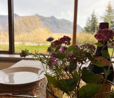 Hornafjörður Casa | House with a magical garden and sunroom