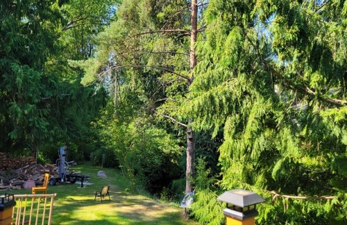 Fircrest Casa | House with Creek