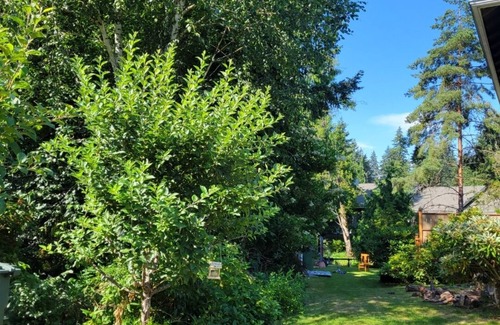 Fircrest Casa | House with Creek