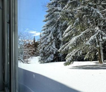 Strba Apartamento | House with parking