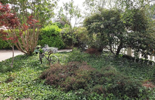 Villette-de-Vienne Casa | House with swimming pool