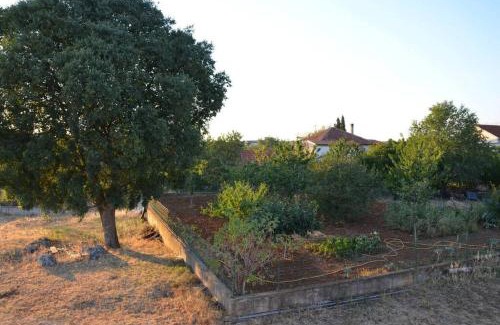 Trn Casa | House with the ecogarden at the end of the Village