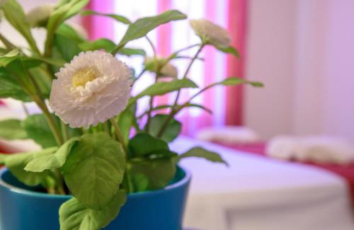 Corso dei Mille - Sant'Erasmo Apartamento | HouseStation