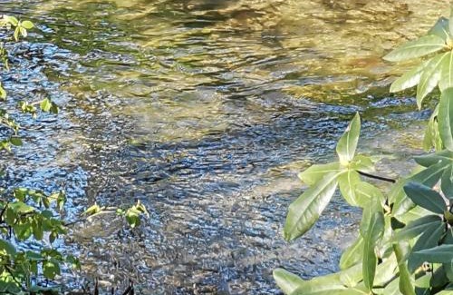 Coesfeld Casa | HR Cottage am Honigbach