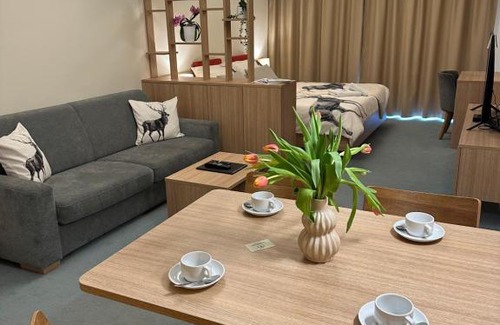Stary Smokovec Apartamento | Hrebienok rezort súkromný apartmán D213