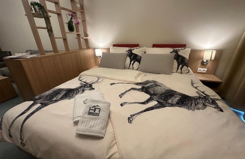 Stary Smokovec Apartamento | Hrebienok rezort súkromný apartmán D213
