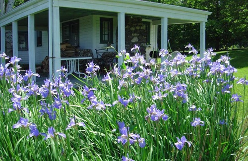 Chatham Cabaña | Berkshires Hudson Valley View Cottage - Privado y tranquilo