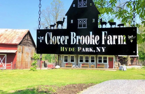 Hyde Park Apartamento | Hudson Valley Farm Getaway- West/Llama Lover Lane