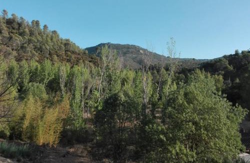 Villacarrillo Casa | Huerta de José Miguel