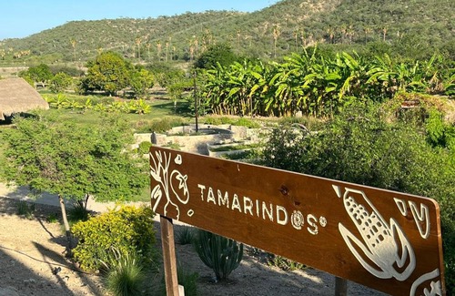 San José del Cabo Casa | Huerto Los Tamarindos