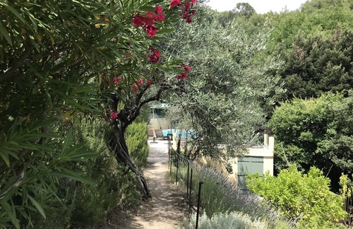 Callas Casa | Huge 12x5m saltpool. Unique 8000m2 naturist property, 5min to Callas square .