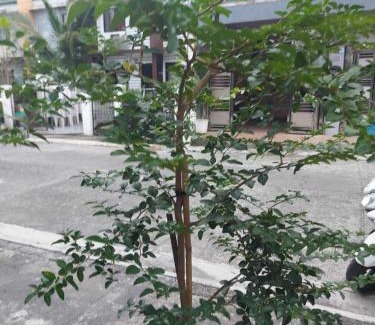 Calapan Apartamento | Huge room transient