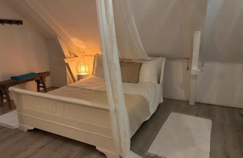 Asch Casa | Huisje rozen