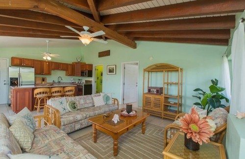 Estate Granard Casa | Hummingbird Beach Hideaway - all 6 apts & grounds
