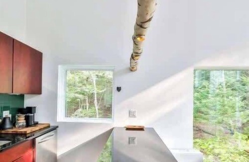 Elka Park Casa | Hunter NY, Retreat: Waterfall, Forests & Mountains