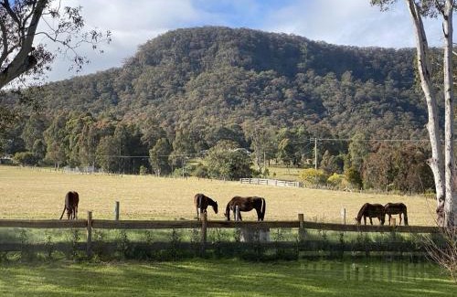 Quorrobolong Casa | Hunter Valley Luxury Farm Stay with Stunning Mountain Vistas