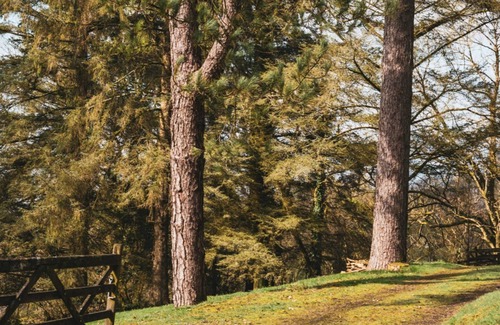 Christchurch Apartamento | Hunters - Luxury Cottages