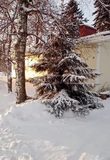 Kalajoki Casa | Huone Seesteisessä Mummolassa
