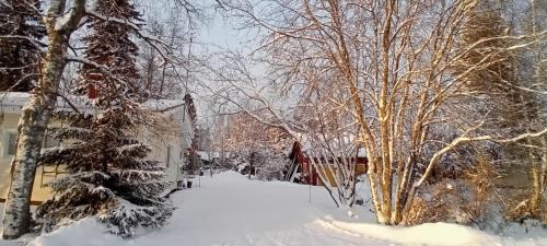 Kalajoki Casa | Huone Seesteisessä Mummolassa