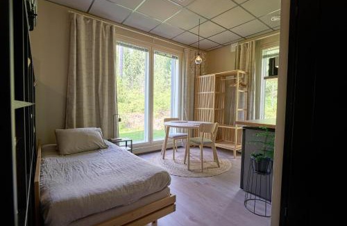 Lahti Apartamento | Huoneisto elokuvateatterilla Studio apartment with the movie theater