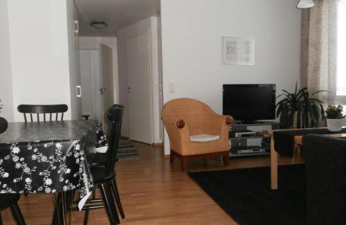 Oulu Apartamento | Huoneistohotelli Nallisuites