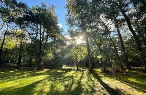 Kootwijk Otro | Huttopia De Veluwe