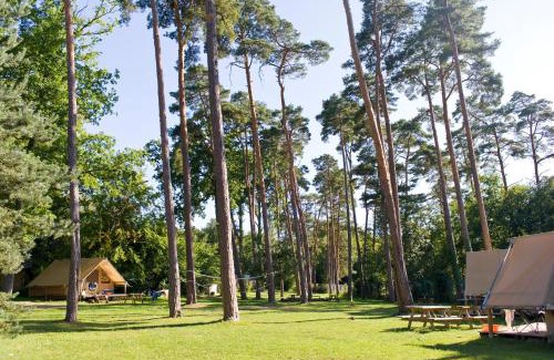 Kootwijk Otro | Huttopia De Veluwe