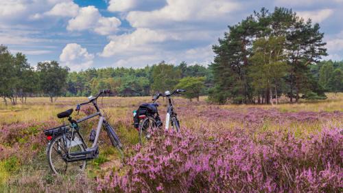 Kootwijk Otro | Huttopia De Veluwe