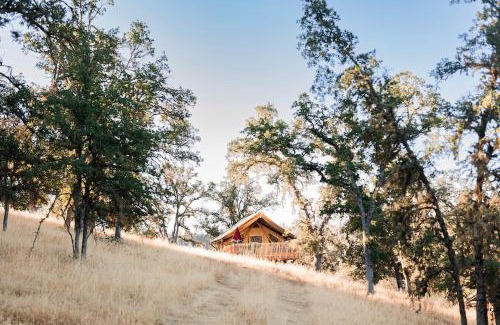 Lower Lake Otro | Huttopia Wine Country