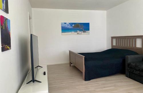 Iisalmi Apartamento | Huttu 1 - Ihqu yksiö loistavalla sijainnilla