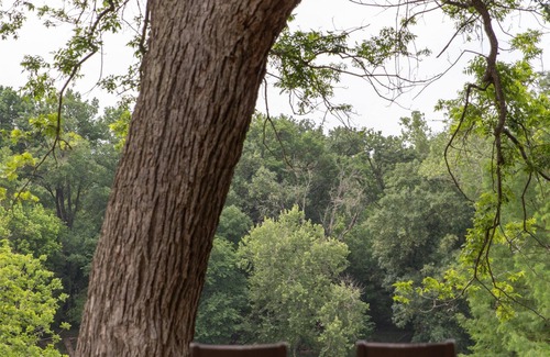 Lost Pines Complejo | Hyatt Regency Lost Pines Resort and Spa