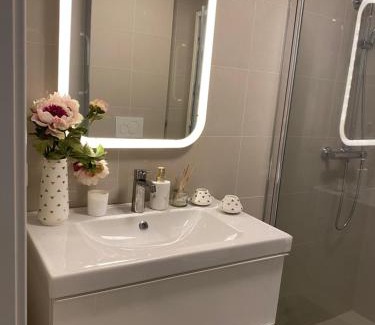 Faervik Apartamento | Hybel leies ut plass til 3
