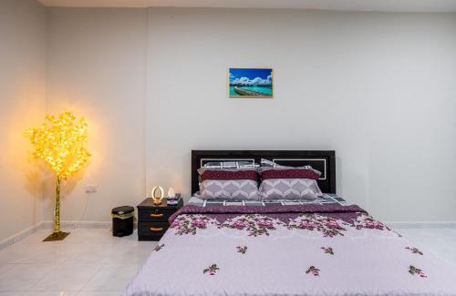 Mussafah Casa | hygienic and glossy rooms abudhabi baith al jannah LLC