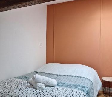 Montauban Apartamento | Hyper center apartment