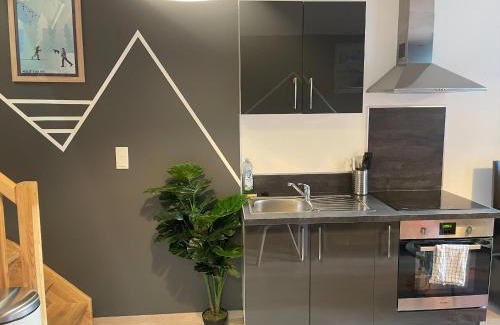 Pontarlier Apartamento | Hypercentre, atypique, familial - L'écho