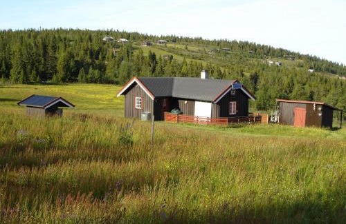 Gol Casa | Hytte på fjellet, med mange turmuligheter !
