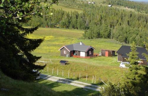 Gol Casa | Hytte på fjellet, med mange turmuligheter !