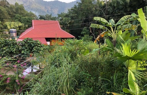 Ha Giang Casa | Soy un guía local, por lo que puedo proporcionarle el recorrido informativo en mi provincia.