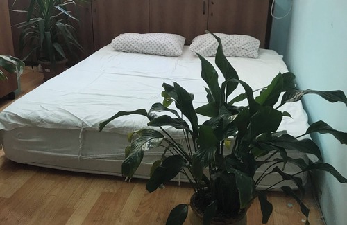 Bakırkoy Apartamento | İstanbul'un kalbinde. Muhteşem lokasyon, Sessizlik.